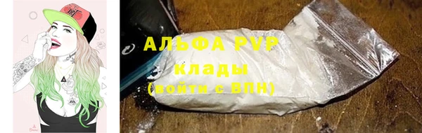 гидра Михайловск