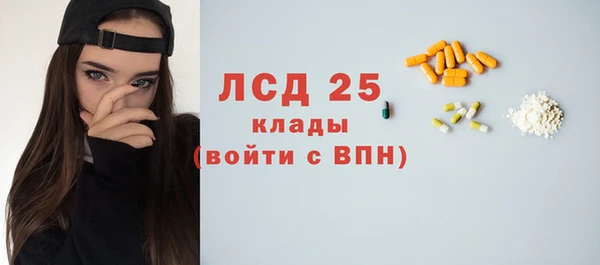 гидра Михайловск