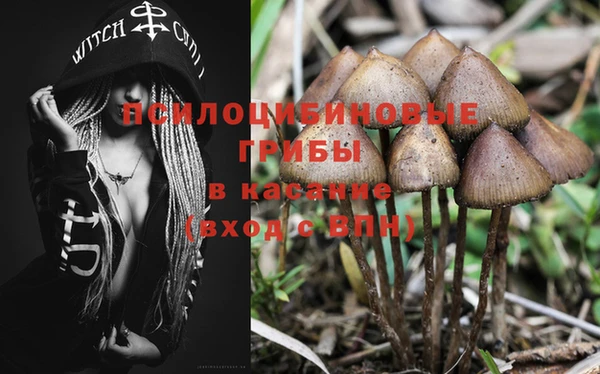 мдпв Михайловка