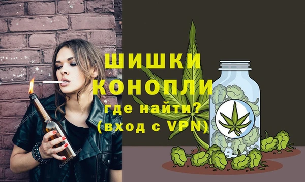 гидра Михайловск